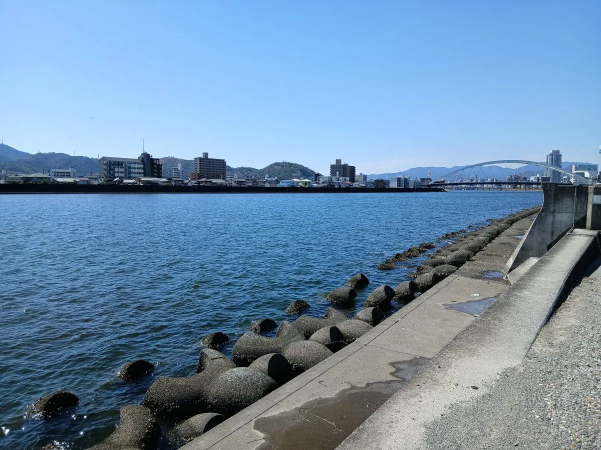 写真2
