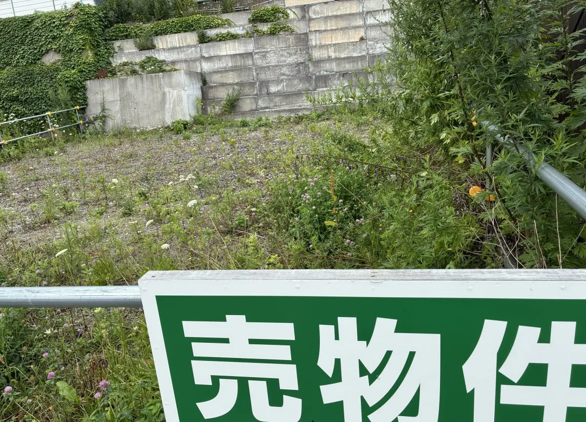 写真2