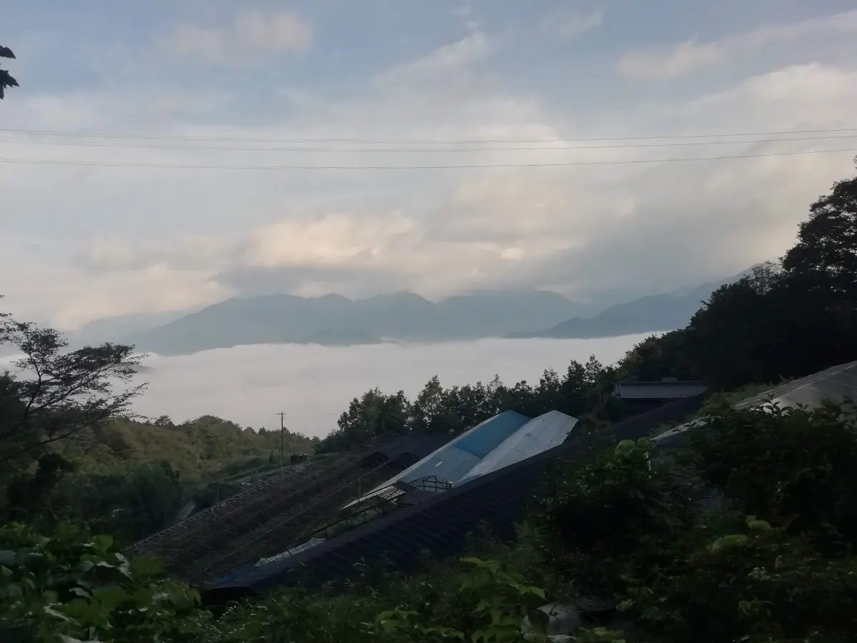 写真3