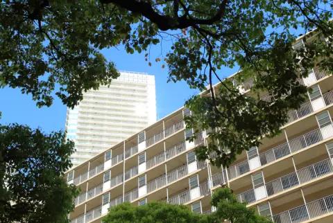 年金暮らしの母が「家賃の支払いが厳しい」と都営住宅への申し込みを検討中です。家族世帯だけでなく、単身世帯でも申し込めるのでしょうか？