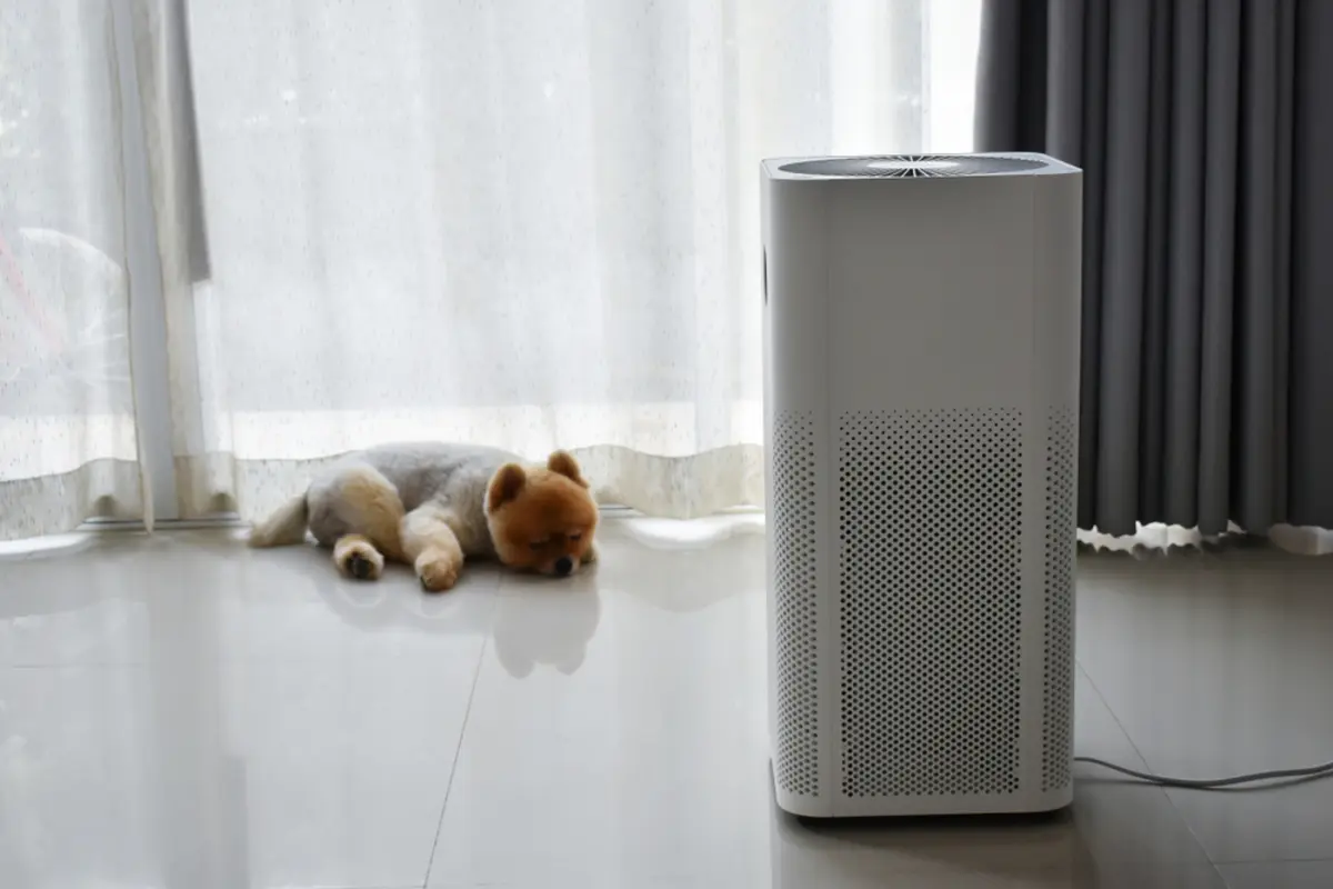 2万円の「スポットクーラー」を“涼しくする範囲が狭い＝電気代が安い”と思い購入したら、逆に電気代が「6000円」上がりショック！ 実はエアコンの“2倍”以上高くなることも？ 理由を確認