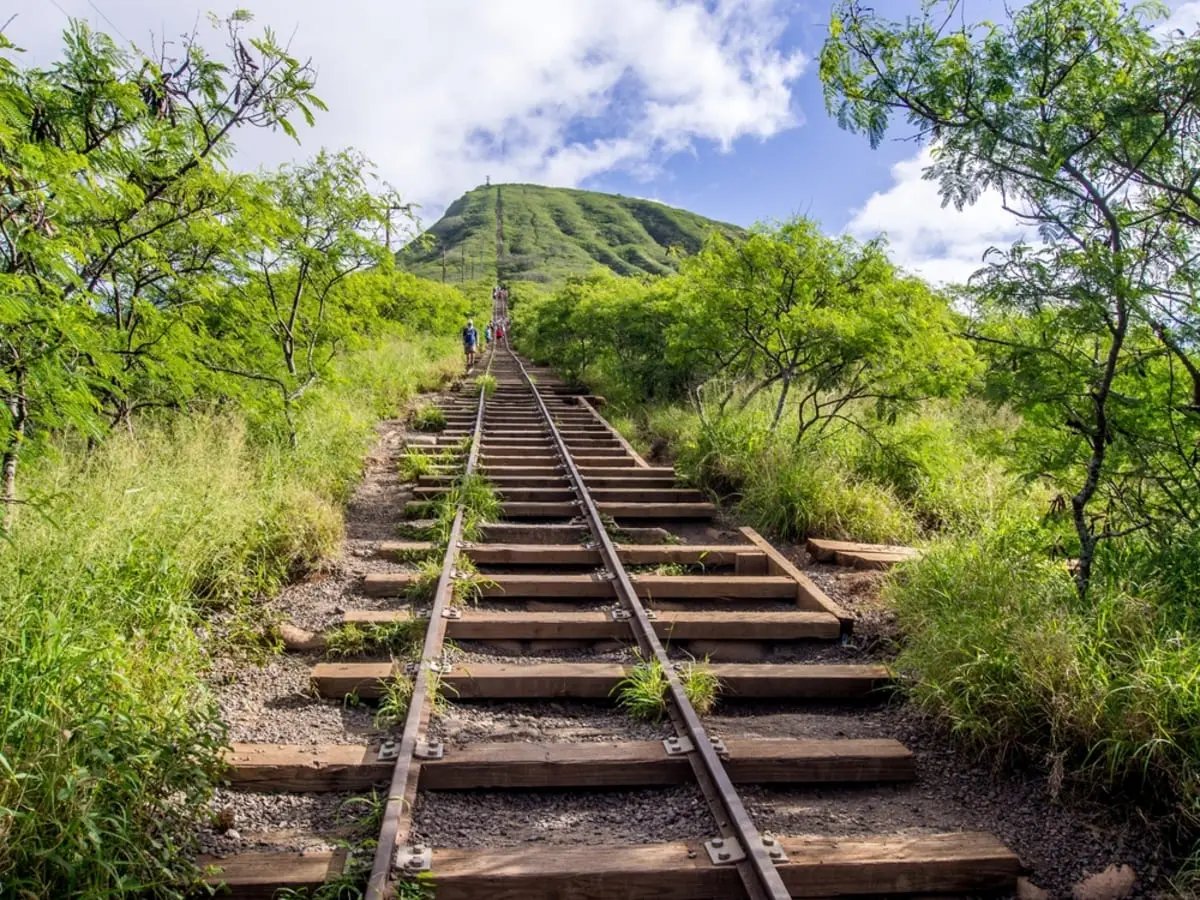 130年前のハワイ旅行、移動にはいくら必要だった？ オアフ鉄道の料金表を見てみた