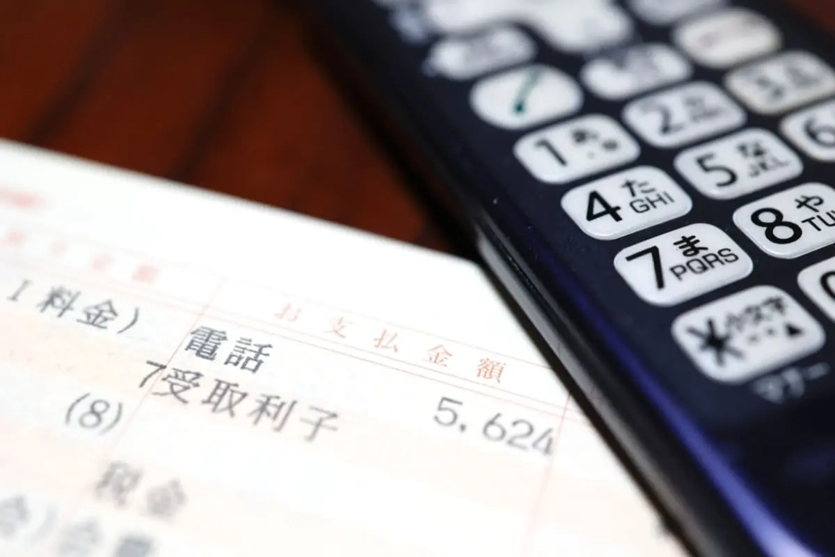 固定電話の請求額が上がっていたので確認したら、基本料金が値上げされていました。節約のために解約しようと思いますが、困らないものですよね？