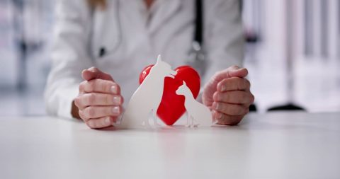 ペット保険に「70％補償」と書かれていました。治療費の7割がそのまま戻ってくると思ってよいのでしょうか？