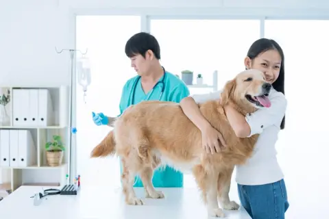 「今月は節約できた」と思っていた矢先、愛犬の検査代で「2万5000円」かかりました。急なペットの医療費に備えるには、貯金や保険をどう考えればよいのでしょうか？