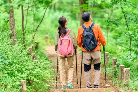 「週末は山や温泉を楽しみたい」と、東京の会社を辞めずに「長野県」への移住を希望する夫。週2回の新幹線通勤で年間いくらかかる？ 別荘を買って「季節移住」したほうが家計はラクでしょうか？