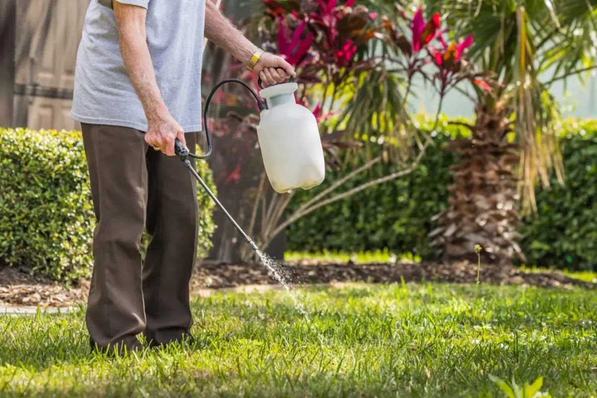 家の庭に「除草剤」をまいたら、隣家から「除草剤のせいで家庭菜園が枯れた」と弁償を求められた！“敷地外”には絶対まいてないのに、本当にうちのせいなんですか？ トラブル時の対応も確認