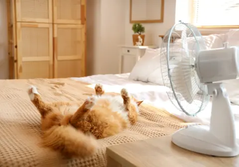 猫のために「24時間エアコン」をつけていますが、夫に「もったいないから夜は消したら？」と言われモヤ…シニア猫ですし“熱中症を回避”できるなら必要経費ですよね？ 夜間の電気代を確認