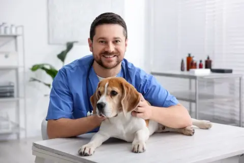 愛犬の通院で治療費が「8000円」かかったのに、保険金が思ったより少なくて驚きました。「免責金額」があるペット保険では、少額の治療だとあまり補償を受けられないのでしょうか？