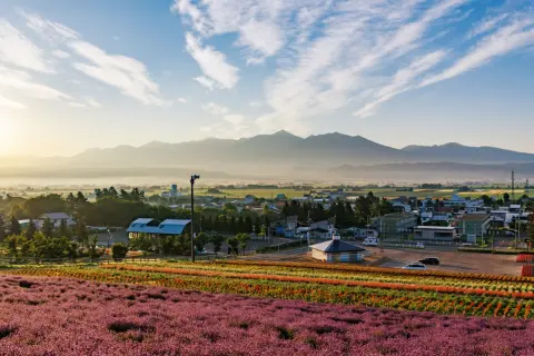 老後資金「1500万円」で北海道へ単身移住。家賃は東京より安いと聞きますが、冬の生活費で結局高くなるのでしょうか？ 雪国ならではの出費を解説