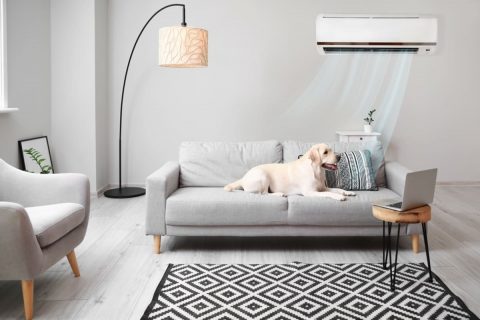 愛犬のために夏はエアコンを24時間つけています。電気代が月「3000円」増えましたが、ペットと暮らすと光熱費はどれくらい増えるのでしょうか？