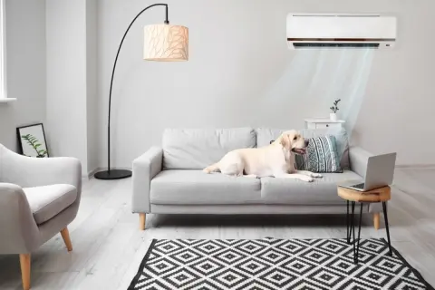 愛犬のために夏はエアコンを24時間つけています。電気代が月「3000円」増えましたが、ペットと暮らすと光熱費はどれくらい増えるのでしょうか？