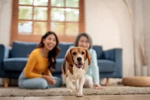 愛犬と暮らせる賃貸へ引っ越そうとしたら、家賃だけでなく「敷金2ヶ月分」が必要と言われました。ペット可物件では、ほかにも費用が増えやすいのでしょうか？
