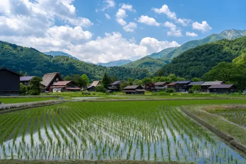 夏の3ヶ月だけ避暑地で暮らす「季節移住」を検討中。夫は「東京で冷房を使い続けるより節約になる」と言いますが、住居費や移動費まで含めると本末転倒にならないでしょうか？