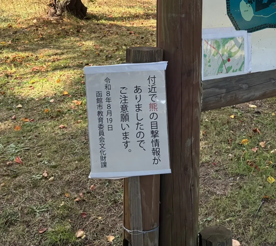 写真2