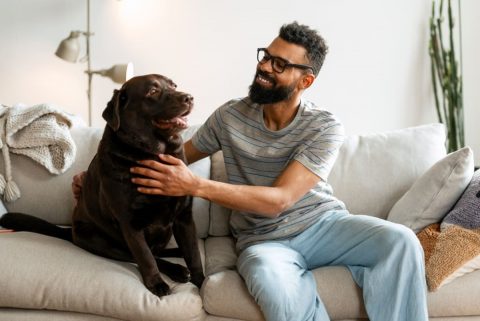 「ペット可」の賃貸で犬を飼っています。退去時に「臭いが残っている」と消臭費用を請求されました。ペット可でも借主が負担するのでしょうか？