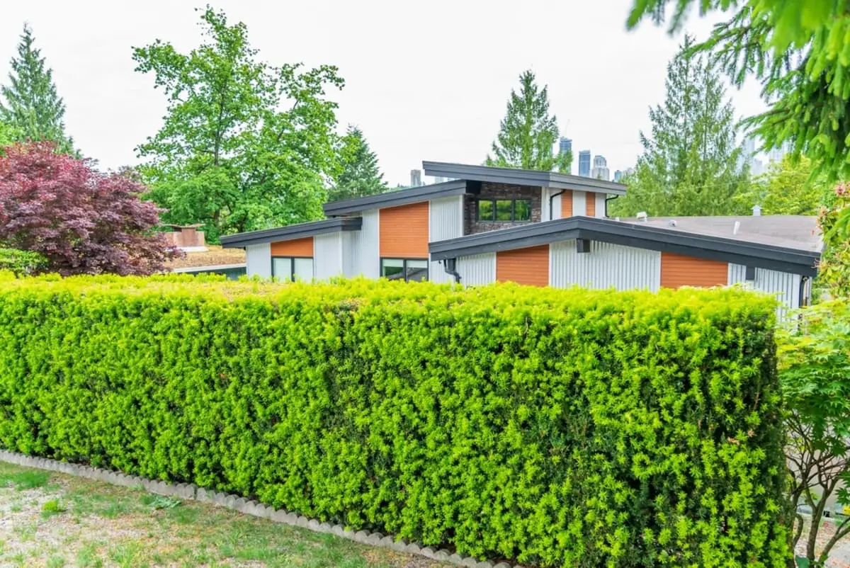 通学中の子どもが毎日マンション敷地を近道に使い、植栽の補修に「5万円」かかりました。夫は「地域の子どもだから仕方がない」と言いますが、年間「約200日」通られるなら今後も傷みそうです…地域への配慮と住民負担、どこで線を引くべきでしょうか？