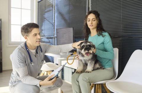 いつもの動物病院ではペット保険の「窓口精算」ができましたが、別の病院では「全額支払い」と言われました。同じ保険でも窓口精算できないことがあるのでしょうか？